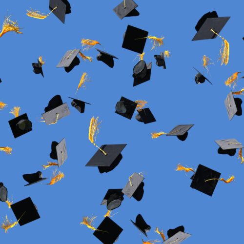 2024 Graduate Training Scheme - Jackson Purdue Lever, Consulting Engineers